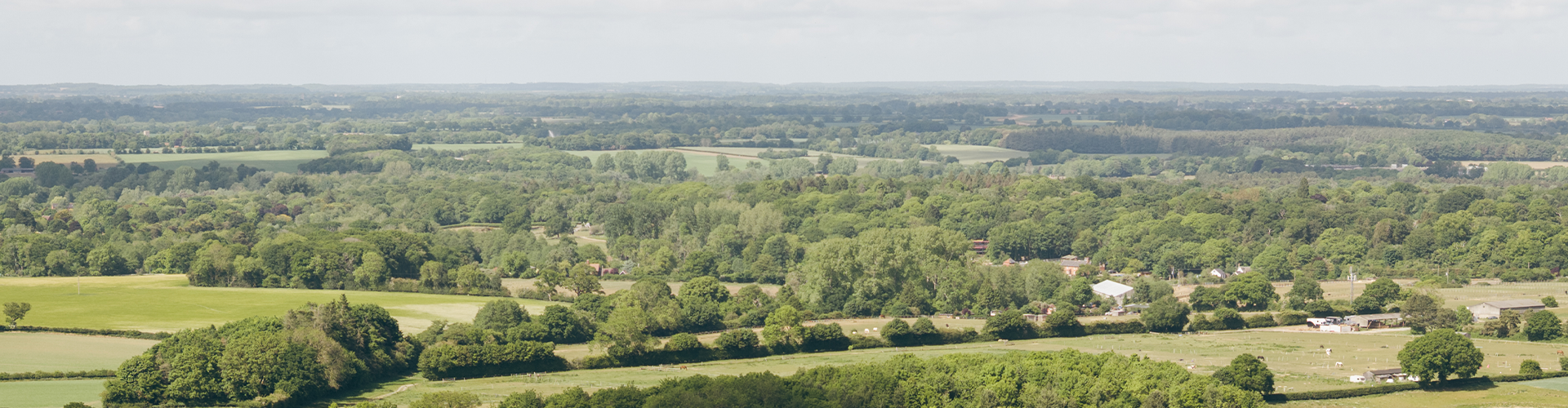 Finding a plot_Banner